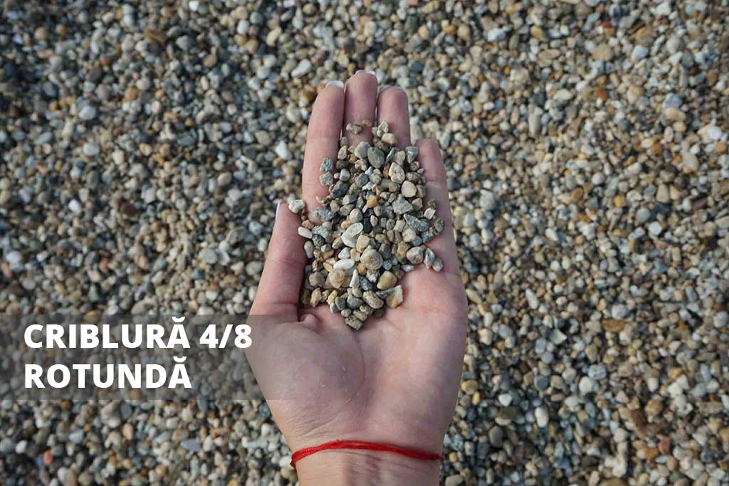 Criblura-48-Rotunda-DACOREX-1.jpg